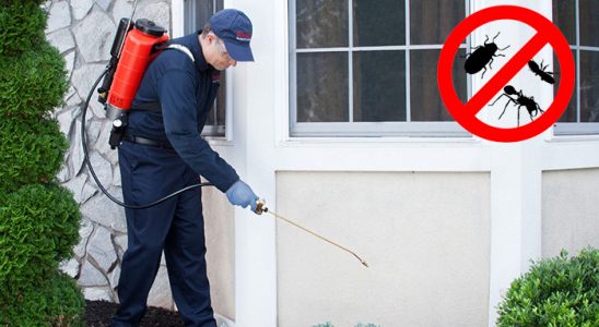 Güney Haşere İlaçlama böcek ilaçlama ve haşere kontrolü — ilaclama-tr.com